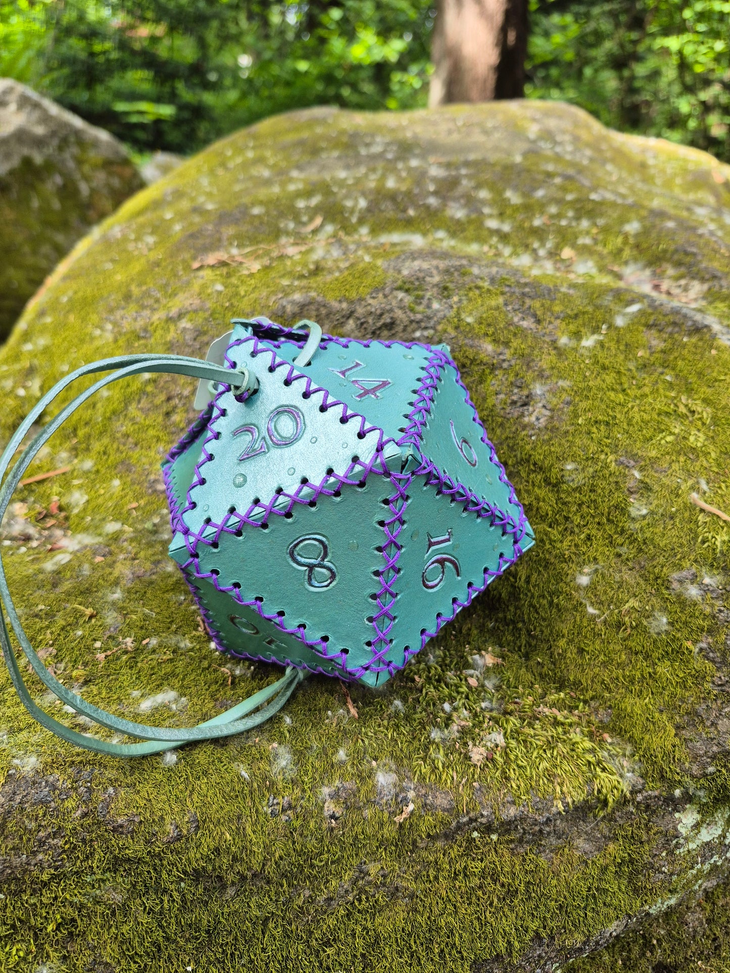 D20 Dice Bags