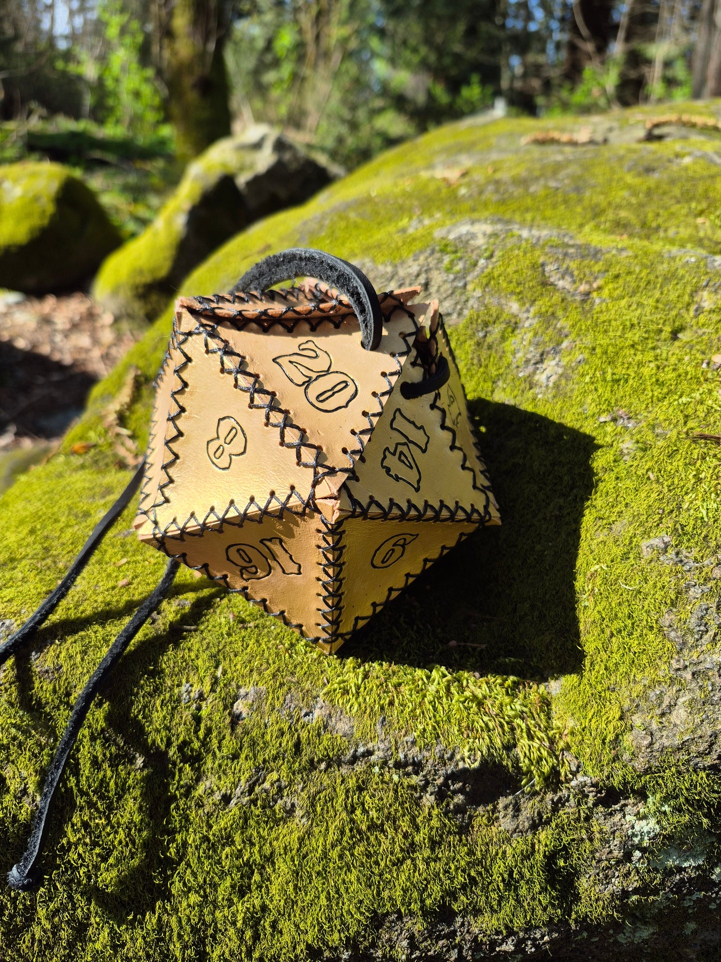 D20 Dice Bags